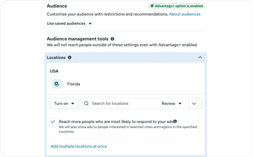 Meta Advantage+ audience screenshot