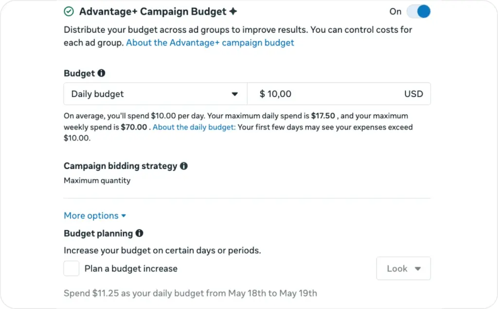 Advantage campaign budget screenshot