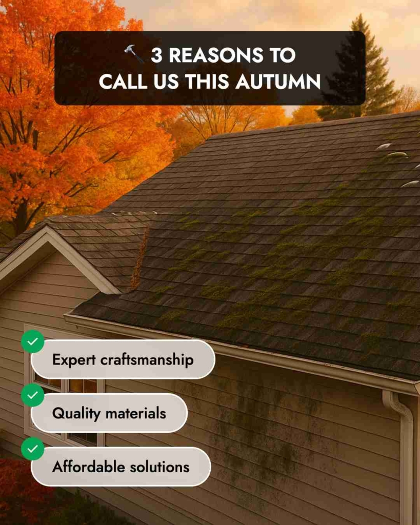 Zeely AI ad 6