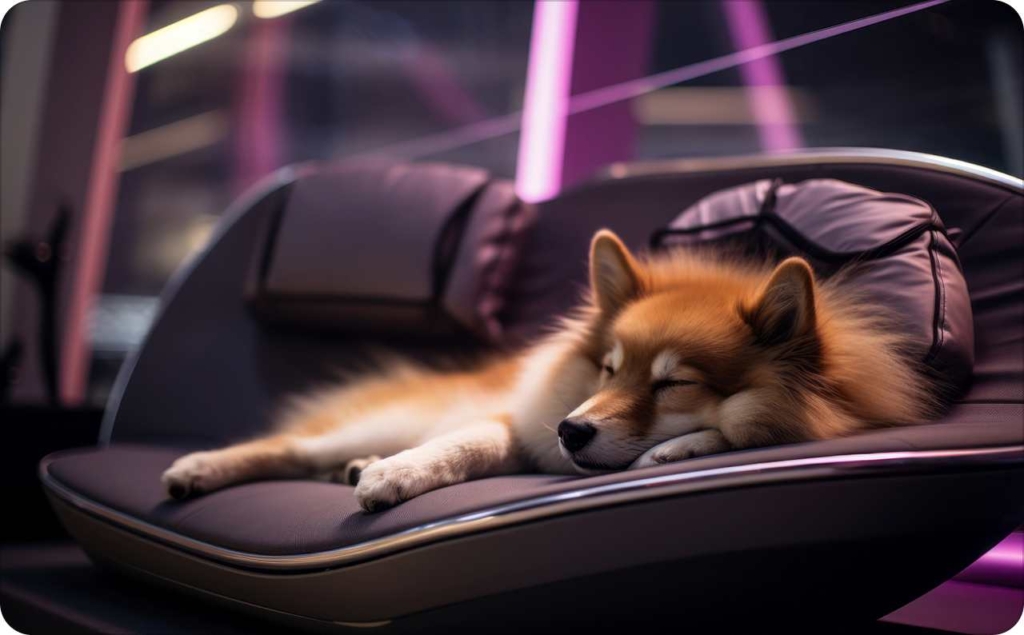 A fluffy dog sleeping peacefully on a modern lounge chair under neon lighting, capturing a cozy and emotional moment often used in pet advertisements.