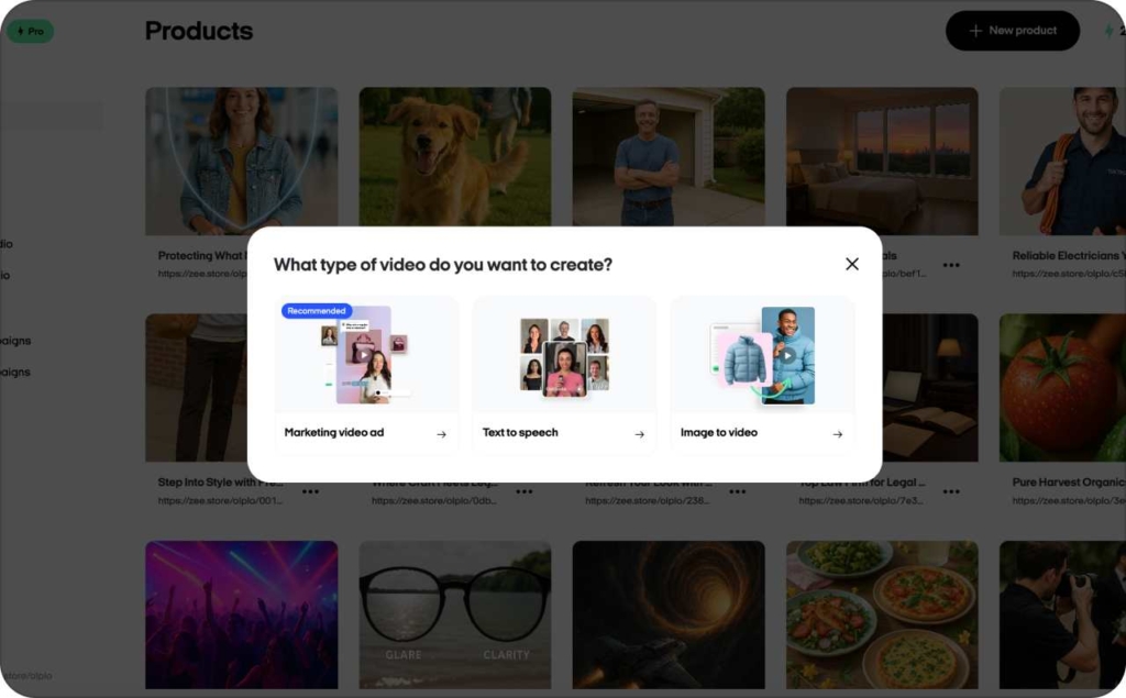 Zeely AI web studio portraying the step of choosing which type of video to create