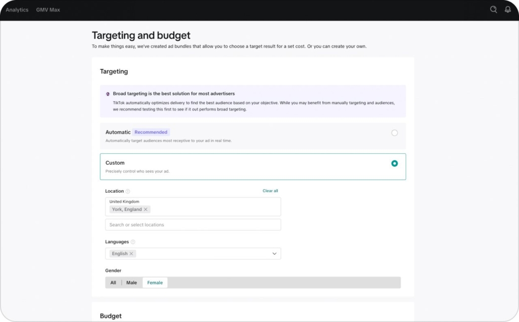 TikTok Ads targeting and budget