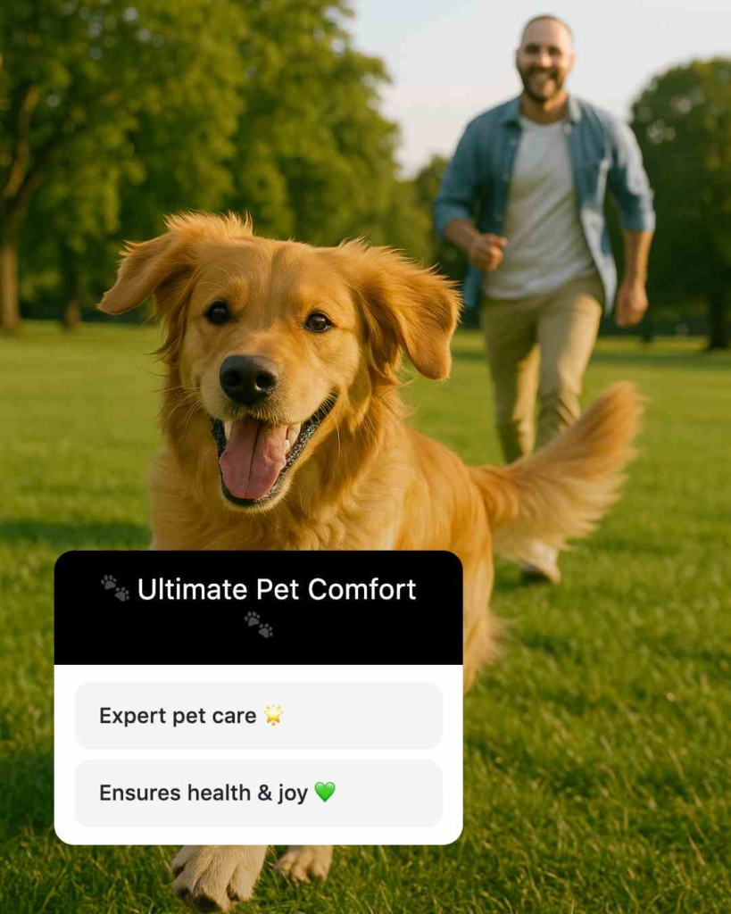 Zeely AI portraying a dog and Instagram poll