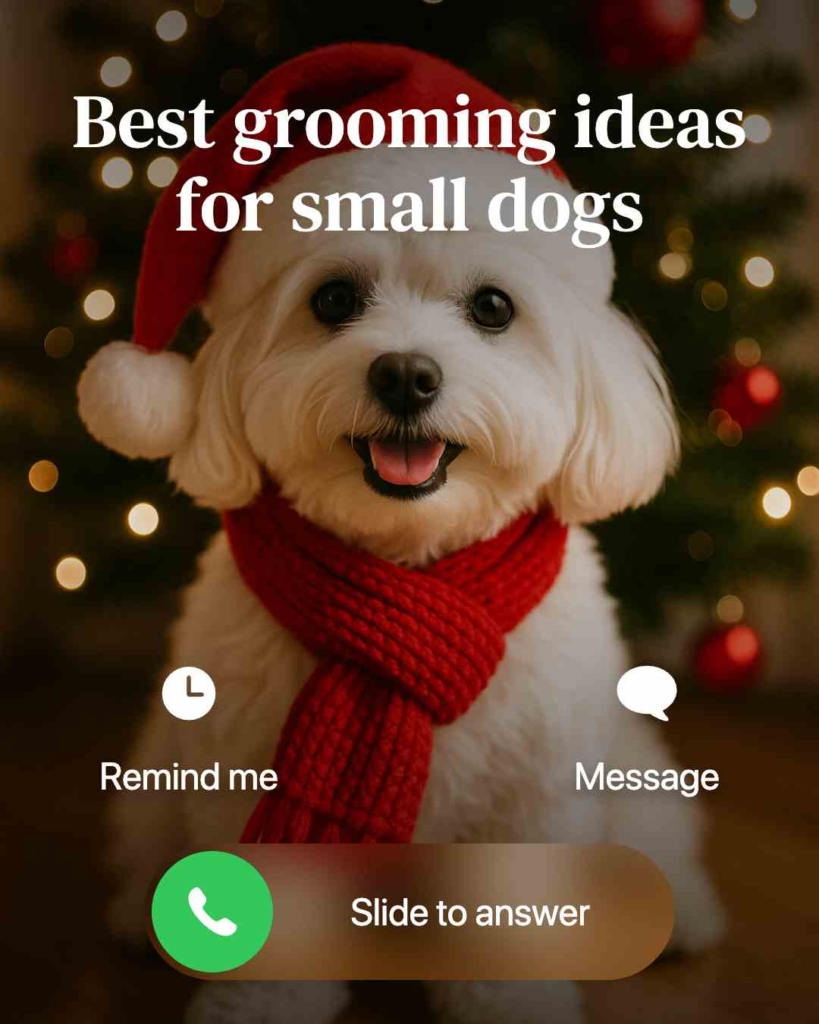 Zeely AI ad portraying a dog in Christmas ambience