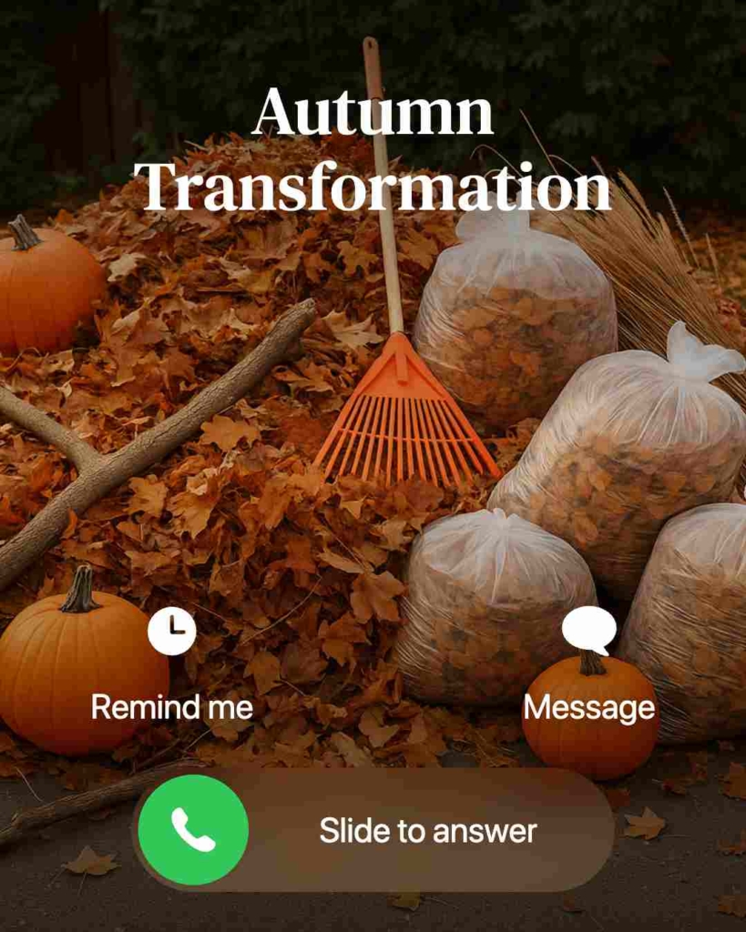 Zeely AI ad promoting seasonal junk removal advertising