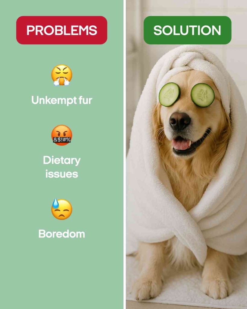 Zeely AI ad portraying a dog with cucumber pieces on his eyes 
