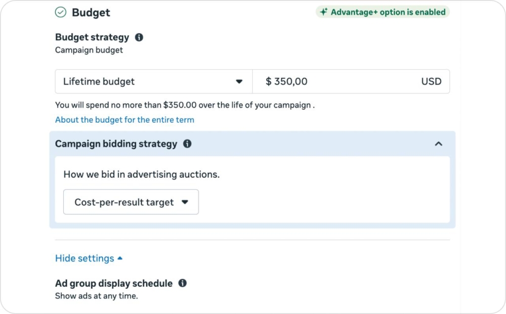 Meta daily lifetime budget