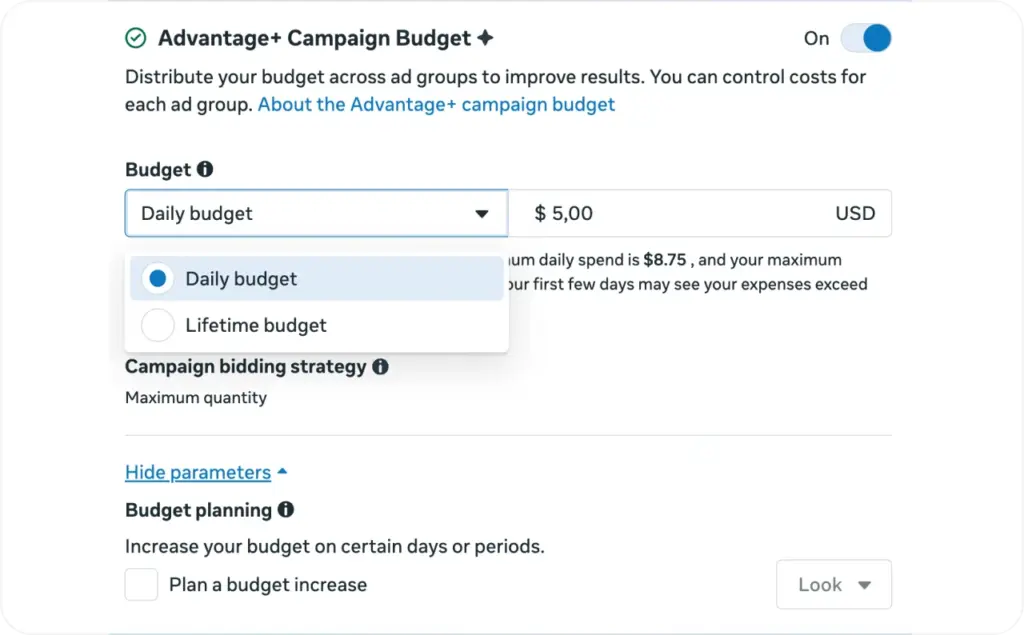 Advantage+ Campaign Budget screenshot