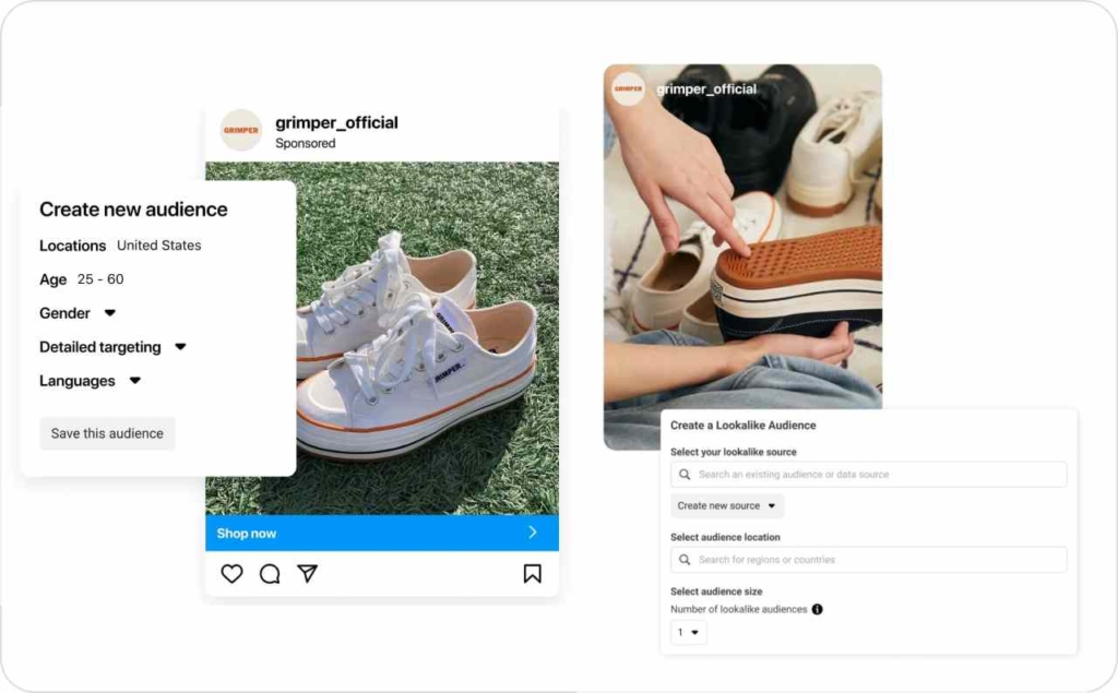 Meta campaign audience page
