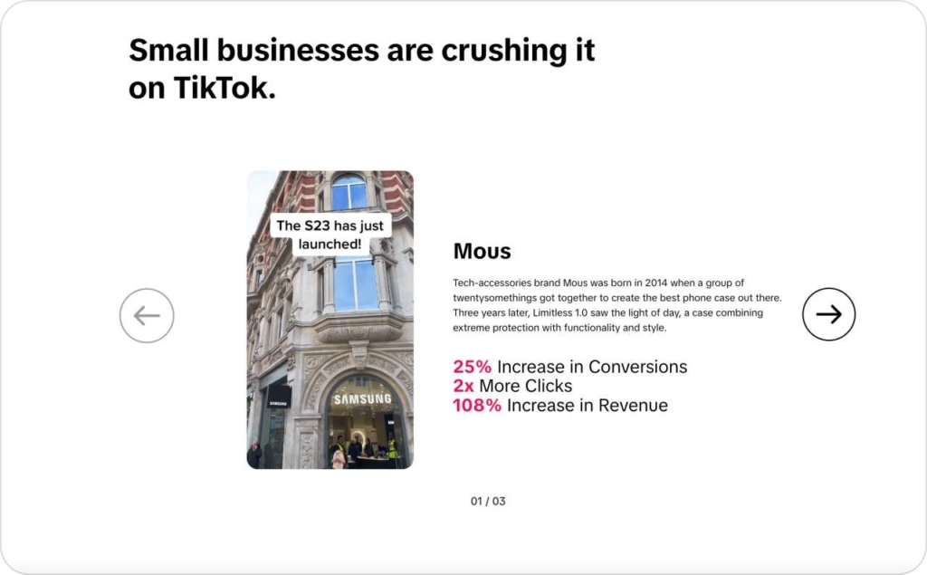 TikTok for Business page
