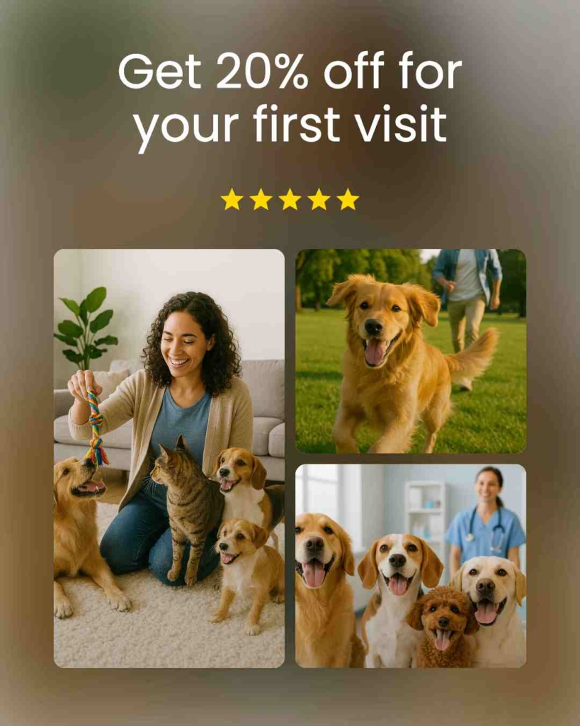 Zeely AI ad of the discount for the first visit