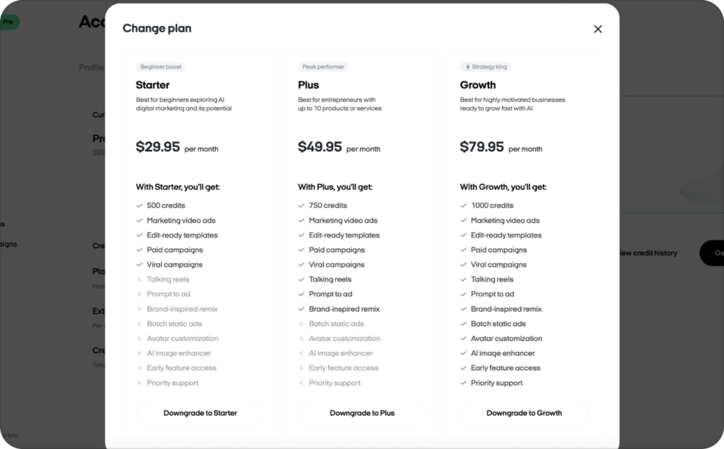 Zeely AI changing plan screenshot