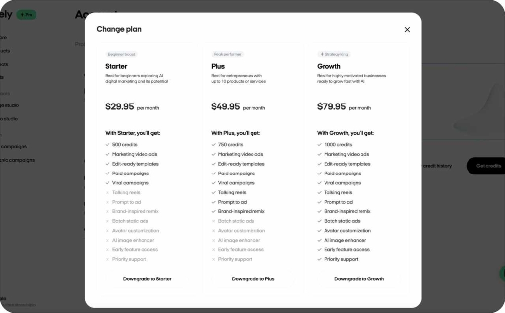 Zeely AI plan screenshot