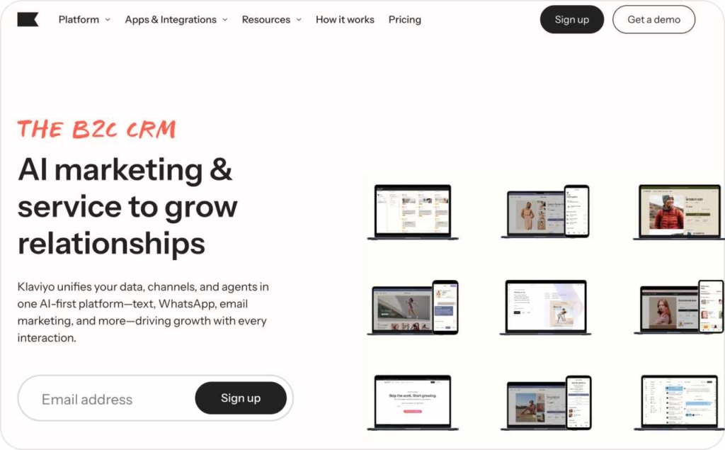 Klaviyo landing page screenshot